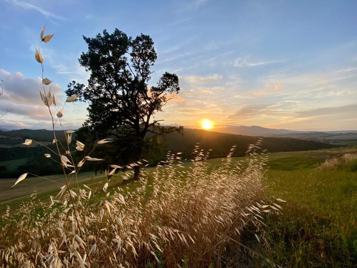 Agriturismo L'Antica Quercia Помаранче Екстериор снимка